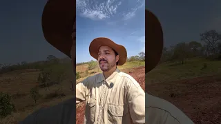 Na minha Opinião, arrendar Pasto não compensa 