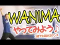 WANIMA『やってみよう！』3歳でも踊れる簡単ダンス♪(幼稚園/保育園)