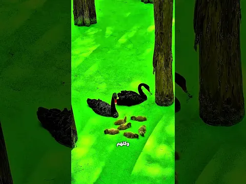 حط الكاميرا جوه وردة فيها شوك… شوفوا اللي حصل! 😱🌹