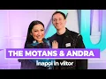 Download Lagu The Motans \u0026 Andra - Înapoi în viitor (Avanpremieră Live la Radio ZU) #piesanelansata