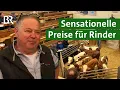 Download Lagu Sensationelle Preise für Kälber und Jungbullen bei Versteigerung | Rinder Auktion | Unser Land | BR