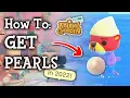 Download Lagu How To Get Pearls in Animal Crossing New Horizons