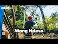 Download Lagu Dj Wong Ndeso Cover Music Sonny Josz Slowbass Version Terbaru