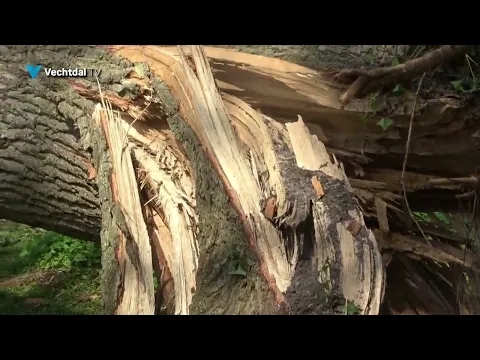 Schade door windhoos in Dedemsvaart