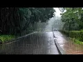Download Lagu Zware regen op een rustige weg Natuur Witte ruis ASMR voor ontspanning