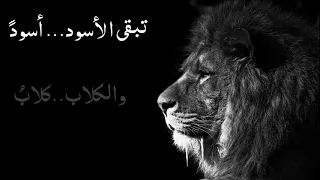 تبقى الأسود أسود والكلاب كلاب 