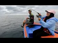 Download Lagu Back to GACOR Again,, WIFE'S LUCKY Fishing, Lots of Expensive Fish Strikes,, Full Strike!!