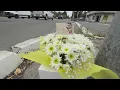 Driver arrested after deadly Santa Rosa hit and run