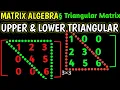 Triangular Matrices Upper Lower Triangular Matrix Explained