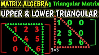 Triangular Matrices Upper Lower Triangular Matrix Explained