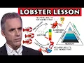 Lagu Jordan Peterson - Lobster lesson \