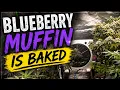 Blueberry Muffin is ready