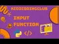 Input function
