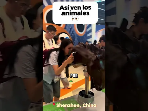 ¡Así Es Como los Animales Realmente Ven el Mundo!