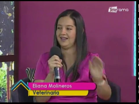 Aumentan casos de maltrato animal en Guayaquil