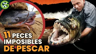 PECES más DIFÍCILES de PESCAR en el MUNDO 🐟
