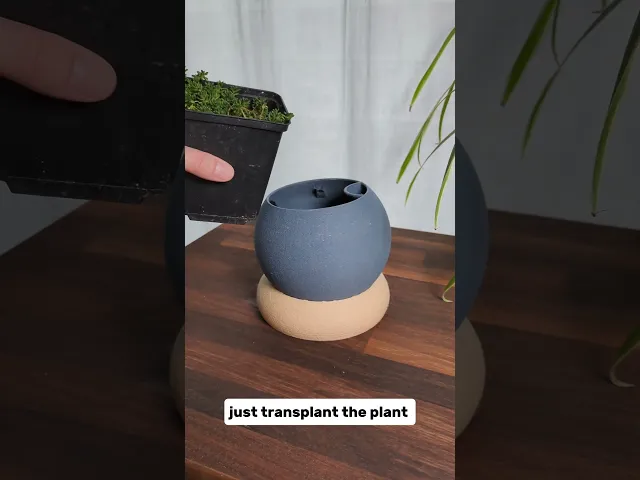 Self-Watering Ball video thumbnail
