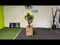 2024 DEKA Tips and Tricks w World Champ Kevin Gregory - Zone 3 Box Overs