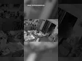 Pinellas Park neighborhood terrorized by nude burglar
