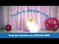 It s Time to Celebrate Veterinary Receptionists