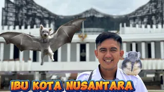 Kasih IDE yuk gabungin DNa apalagi selanjutnya #wildanimalexperiment #fiksi #animal #science
