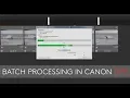 Batch Processing in Canon s DPP Editing Software