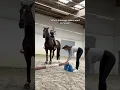 Download Lagu Still way too high… #equestrain #horse #short #viral
