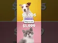 How much does it cost to own a pet