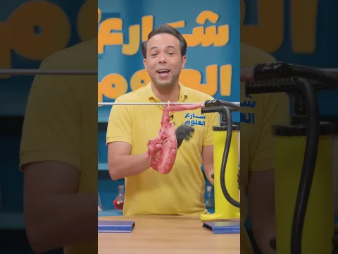 إزاي بنتنفس؟ 🫁 شوف شكل الرئتين الحقيقي في الشهيق والزفير | علوم الصف السادس الابتدائي