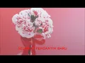 KENEK KENEK UDANG - SALOMA