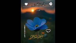 صباح الخير قلب مطمئن صباح صباحيات دينيه صباح الخير حالات وتس ارح سمعك اكسبلور لايك اشتراك  صباح الخير قلب مطمئن صباح صباحيات دينيه صباح الخير حالات وتس ارح سمعك اكسبلور لايك اشتراك