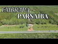 Download Lagu QUAL O FUTURO DA EMBRAPA DE PARNAÍBA EM 2025?