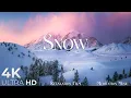 Download Lagu SNOW • Winter Relaxation Film 4K - Peaceful Relaxing Music - Nature 4k Video UltraHD
