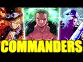 Ranking EVERY SINGLE Commander in One Piece