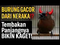 Download Lagu 🔥GACOR LEVEL IBLIS ‼️ Baru Denger Langsung Bikin Ketagihan – Tepus Kapala Abu Nembak Panjang!