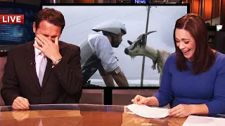 Se a Câmera Não Estivesse Ligada, Ninguém Acreditaria!