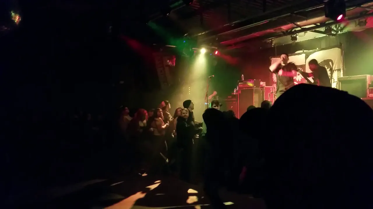 Vein - Demise Automation Live