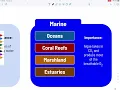 AP Exam Review - Unit 1 Ecosystems