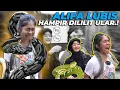 Download Lagu NEKAD..! ALIFA LUBIS GENDONG ULAR RAKSASA DEHAKIMS..!! HAMPIR DILILIT..!!