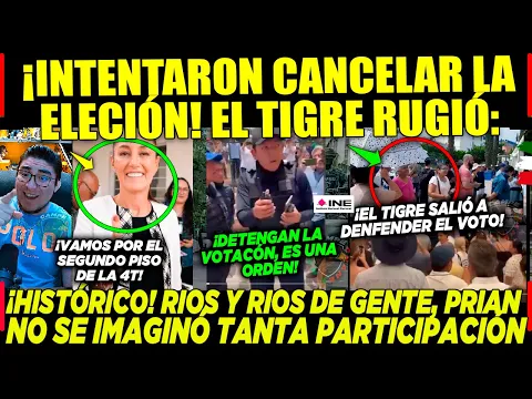 Download MP3 CANCELAN ELECCIÓN! PERO EL TIGRE ¡SE LEVANTA! PRIAN JAMÁS IMAGINÓ LOS RIOS DE GENTE QUE SALIÓ HOY