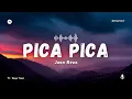 Download Lagu PICA PICA - Juan Reza (Lirik Lagu) | Lagu Joget Timur | Lagu Acara Timur