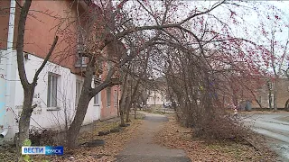В Омске состоится заседание городской «зелёной комиссии»