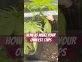 How to make your own LST Clips Tutorial