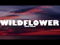 Download Lagu Billie Eilish - WILDFLOWER (Lyrics)