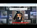 AI IMAGE Generator using Python Flask