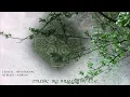 1 Hour of Celtic Music | Music by BrunuhVille