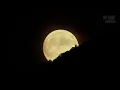 NIGHT FOREST | A World Unseen - Full Documentary