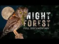 NIGHT FOREST A World Unseen - Full Documentary