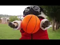 Fall Out Boy - Irresistible (Starring Doug The Pug) ft. Demi Lovato