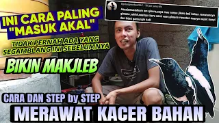 Download BELUM PERNAH ADA YANG SEJELAS INI SEBELUMNYA ‼️ CARA TERBAIK MERAWAT KACER BAHAN MP3